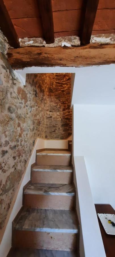 Villa Casa Del Nonno Gino Pietrasanta Exterior foto